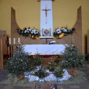 dsc copy