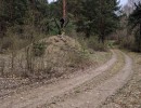 Widok kapliczki