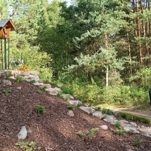 img 20200906